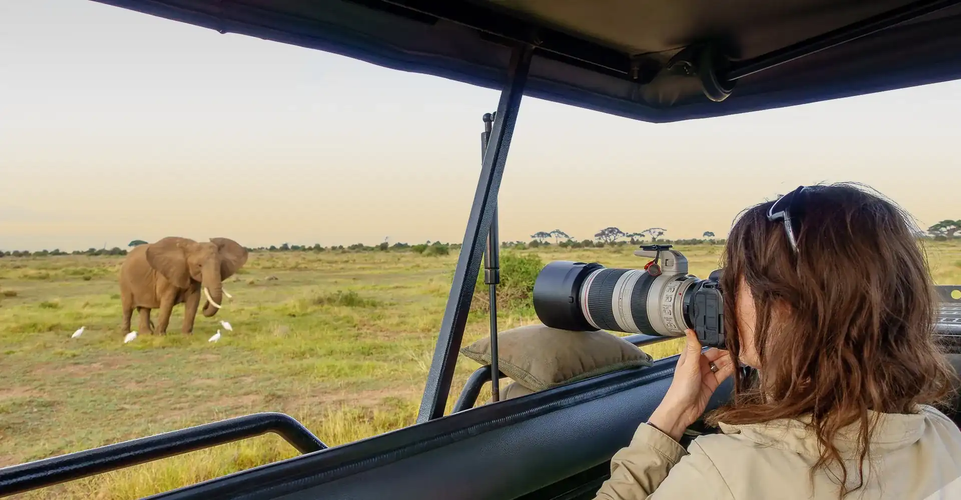 Mikumi National Park Attractions