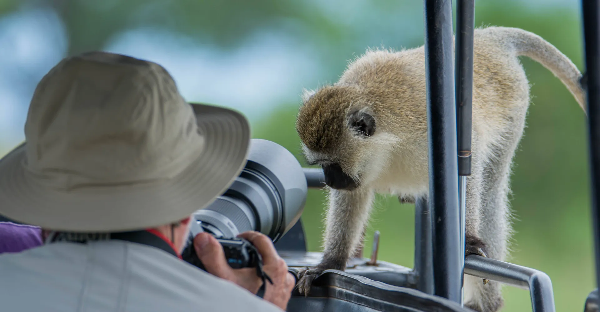 Mkomazi National Park Game Drive