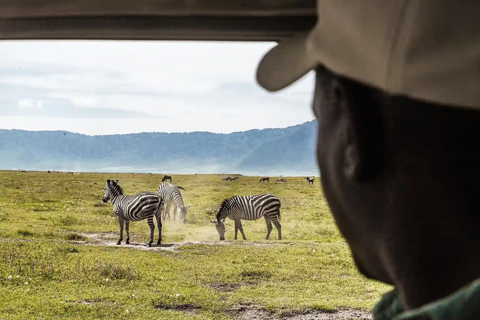 Ngorongoro Crater Safari Experience