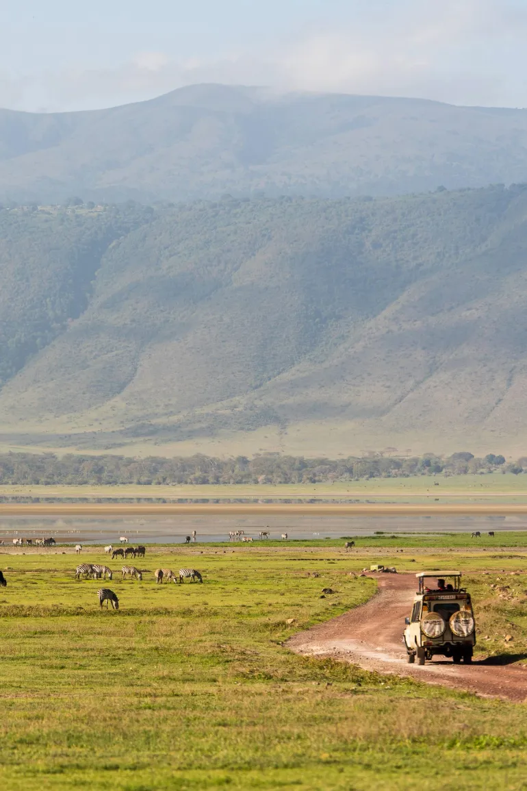 Bestday Safaris