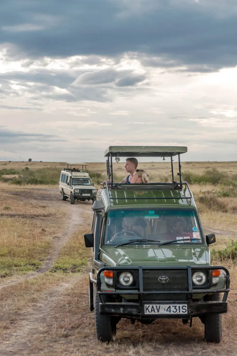 Bestday Safaris