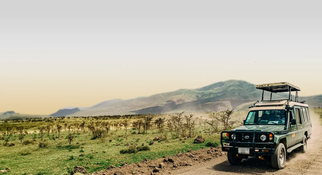 Ngorongoro Safari