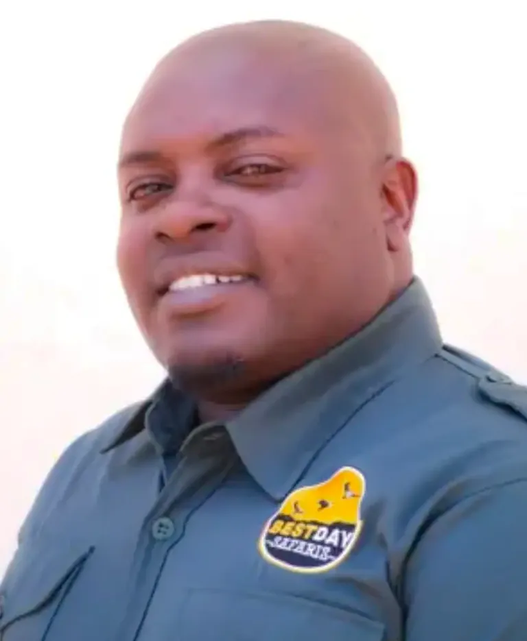 Safari Guide