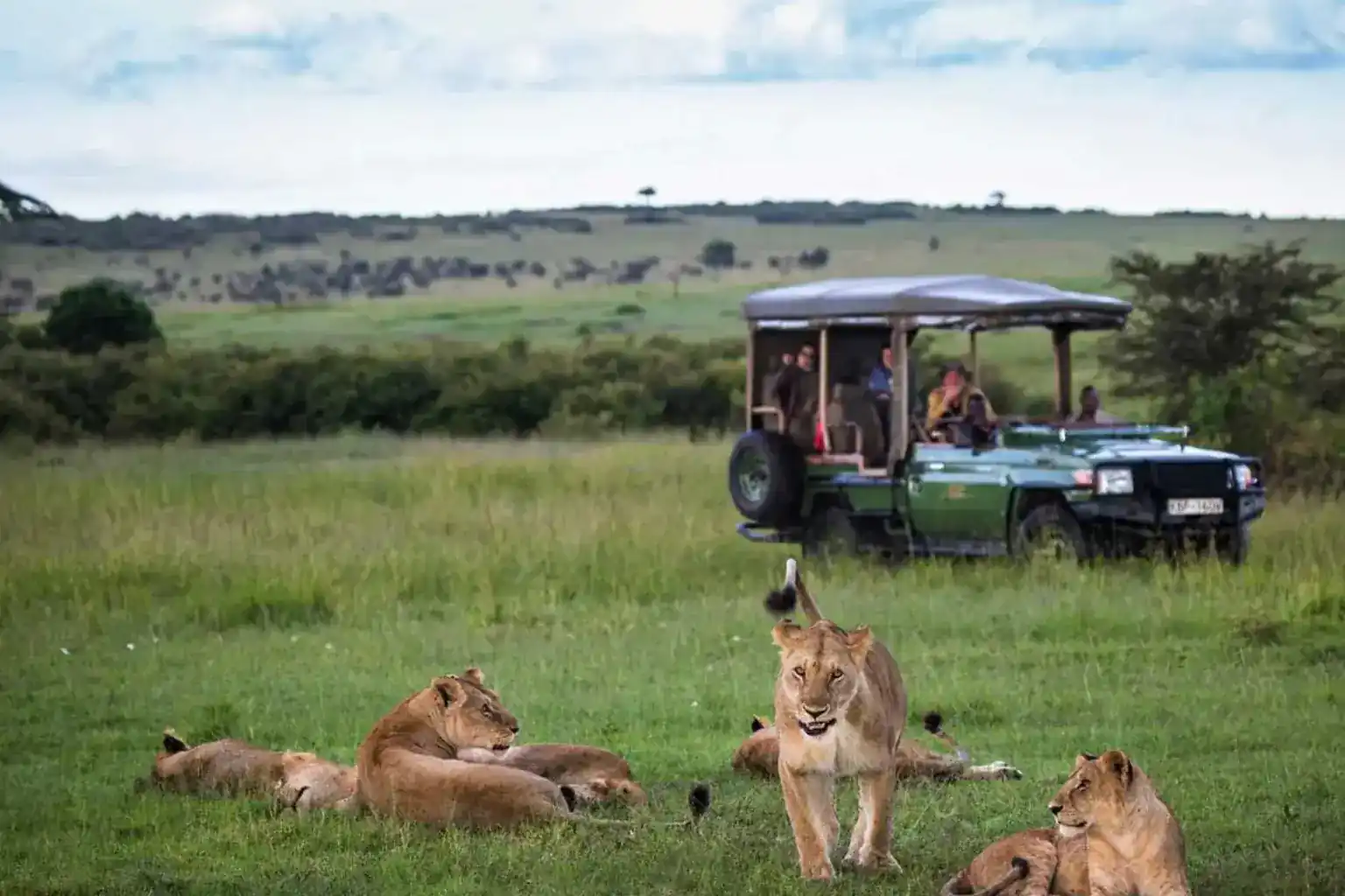 Best time to visit Kilimanjaro