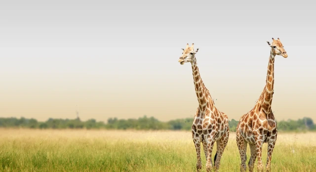 Arusha National Park