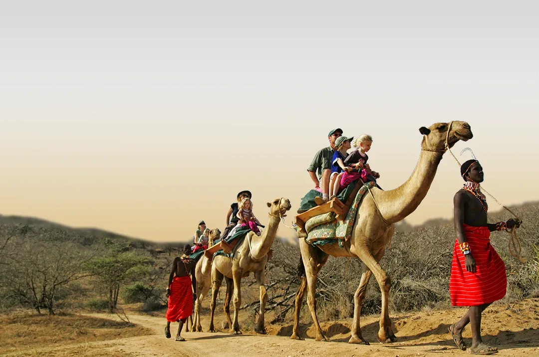 Camel Ride Safaris