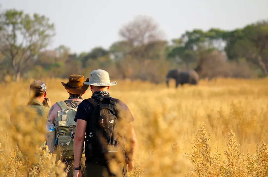 Tanzania Safari Packing List