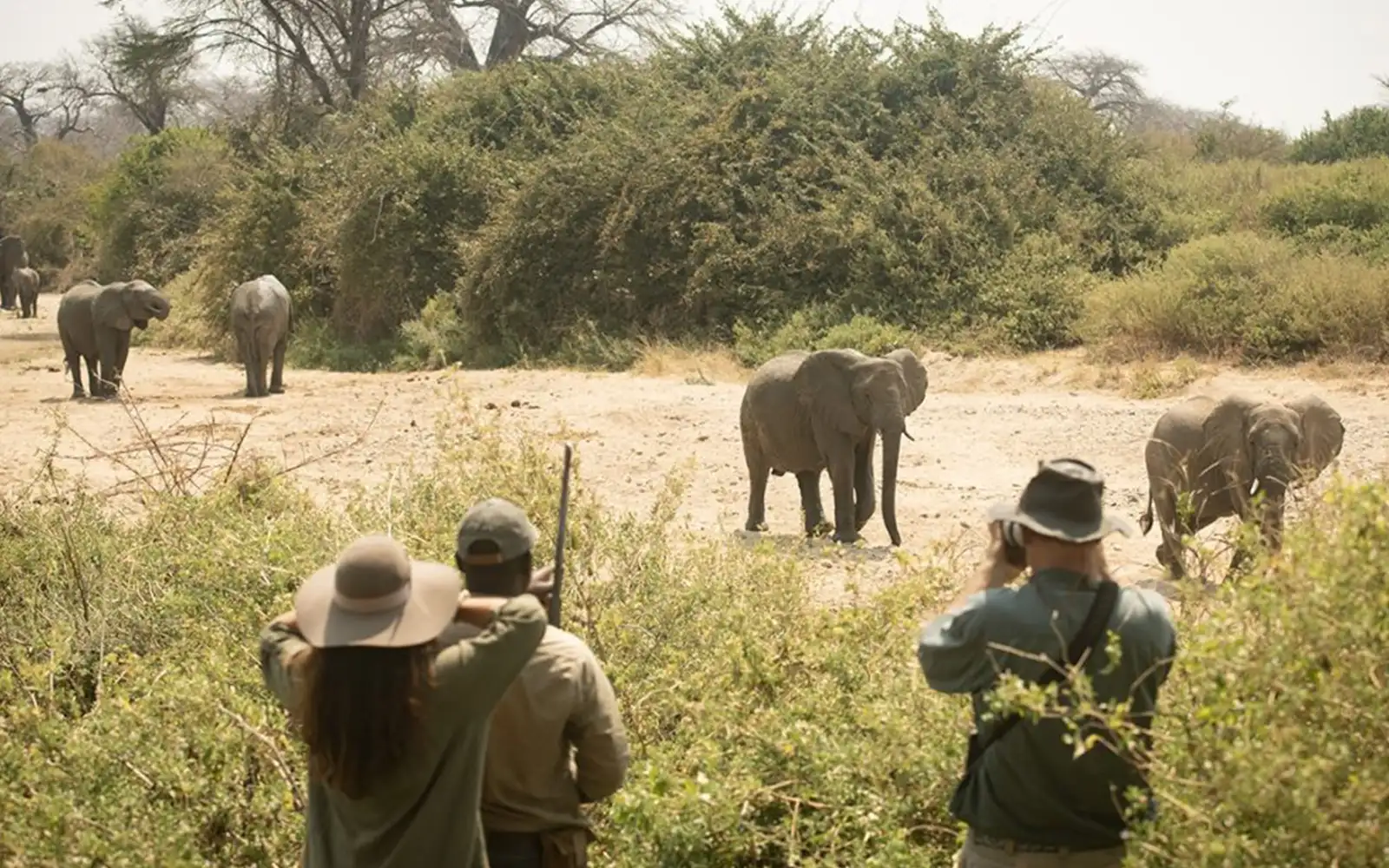 Walking Safaris