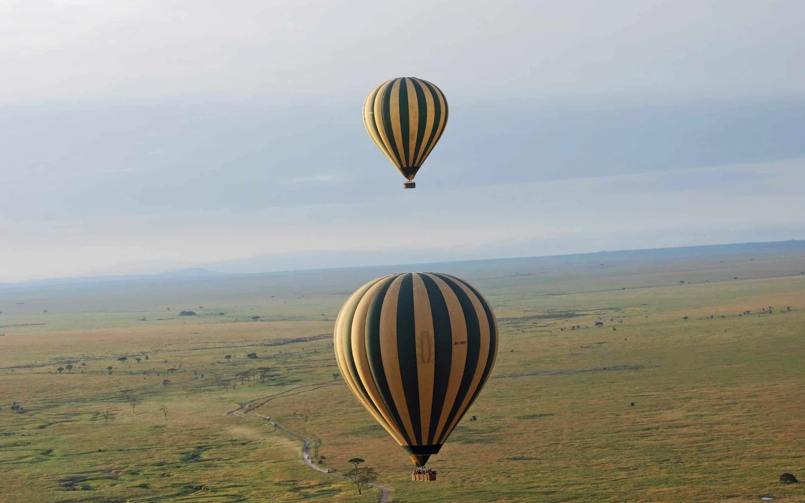 Balloon Safari