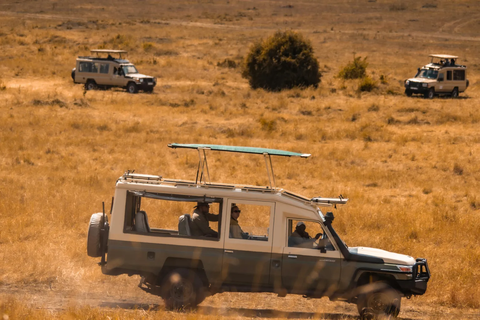 What a luxury safari really includes