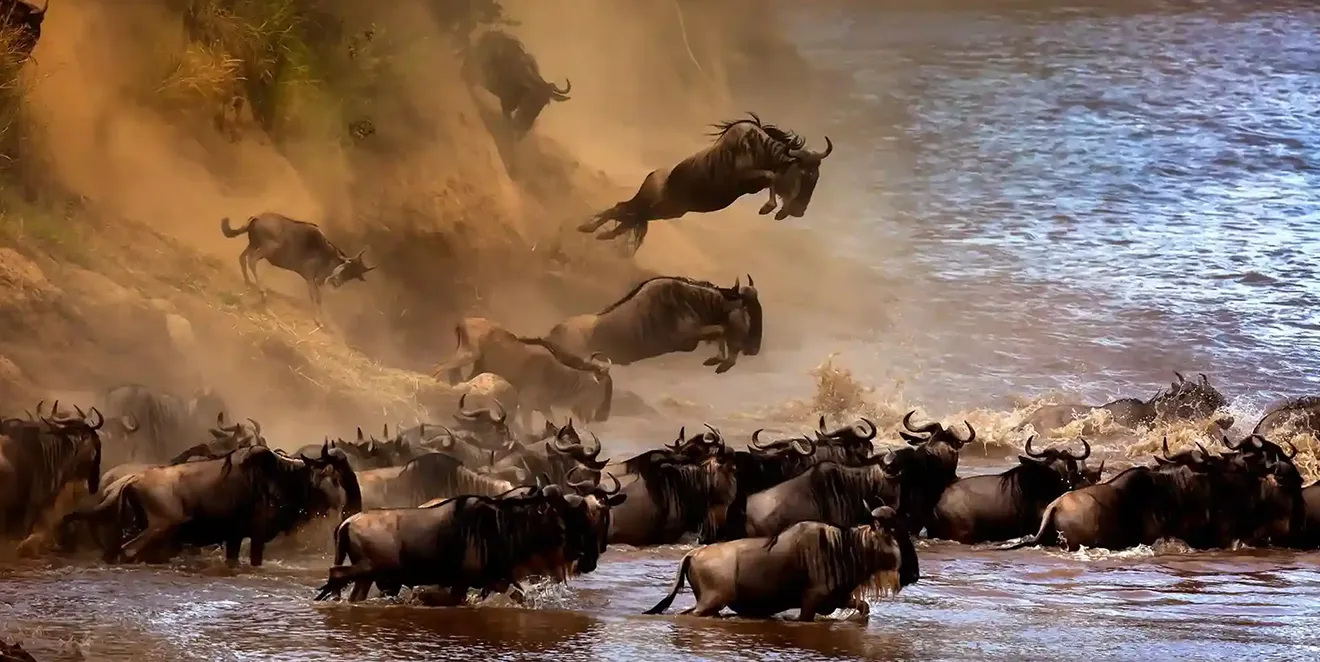 Serengeti Attractions