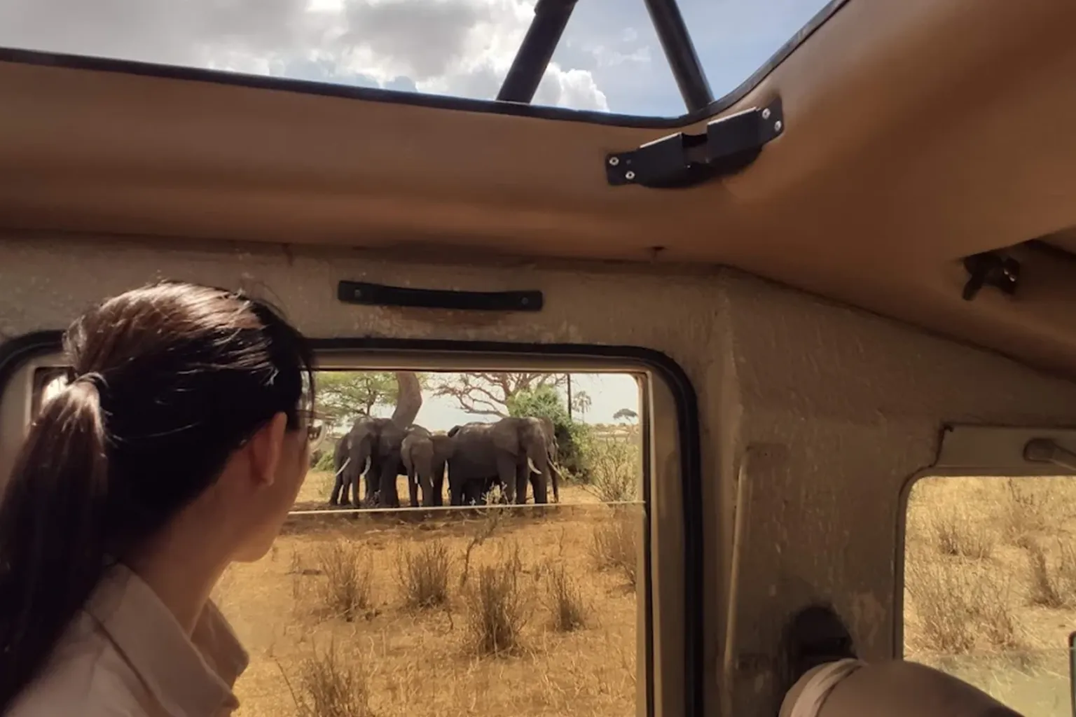 Tanzania Big Five Safari