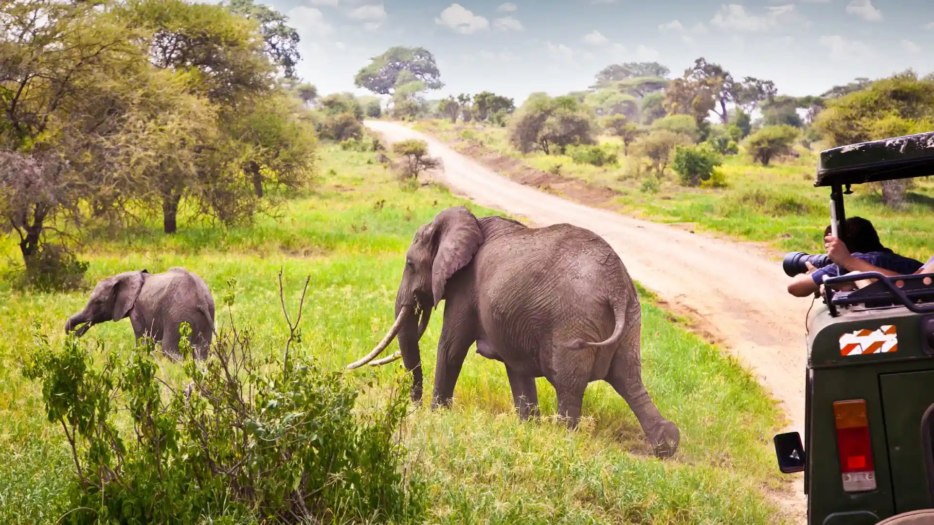 Bestday Safaris