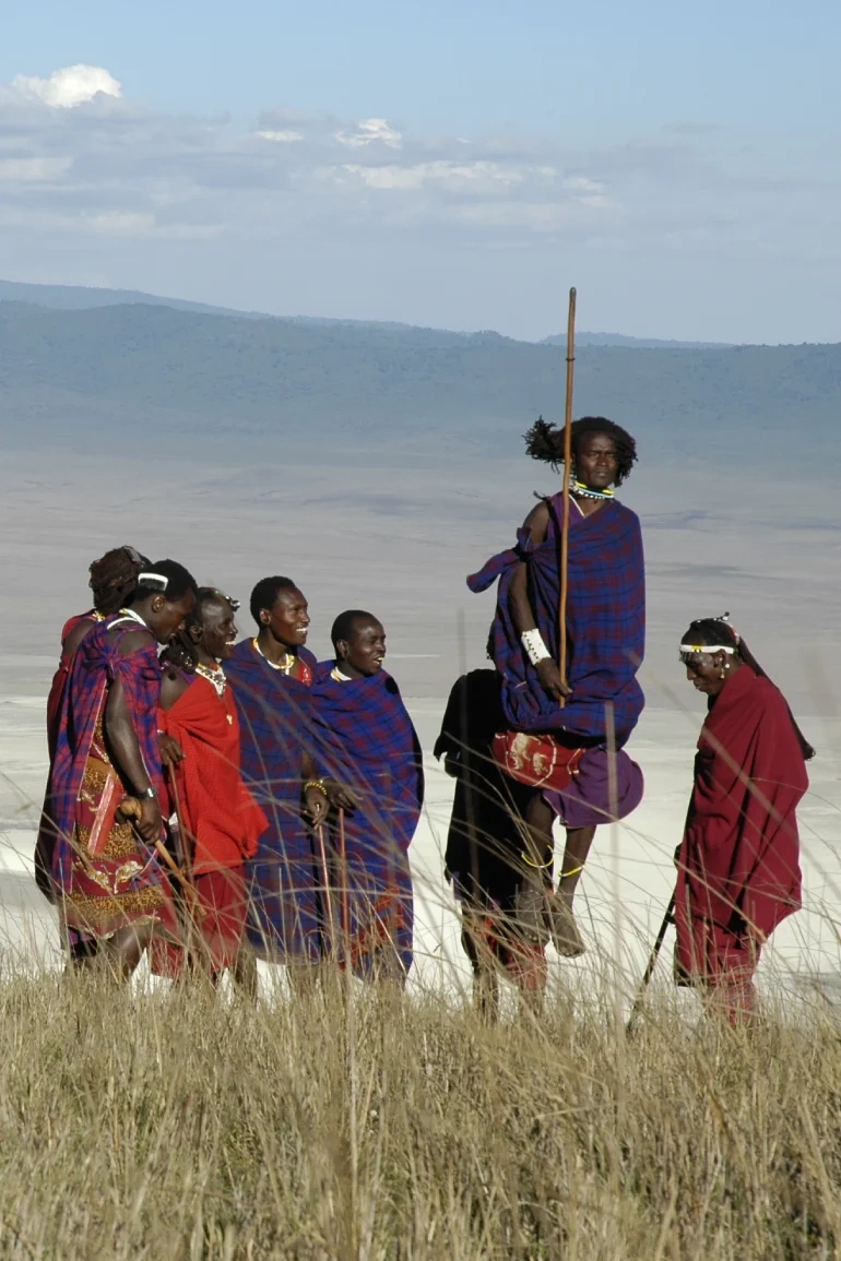 Bestday Safaris
