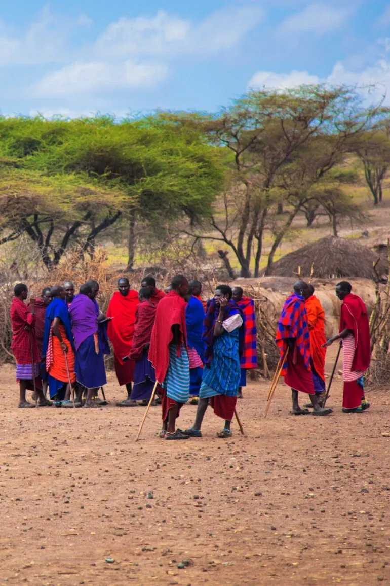 Bestday Safaris