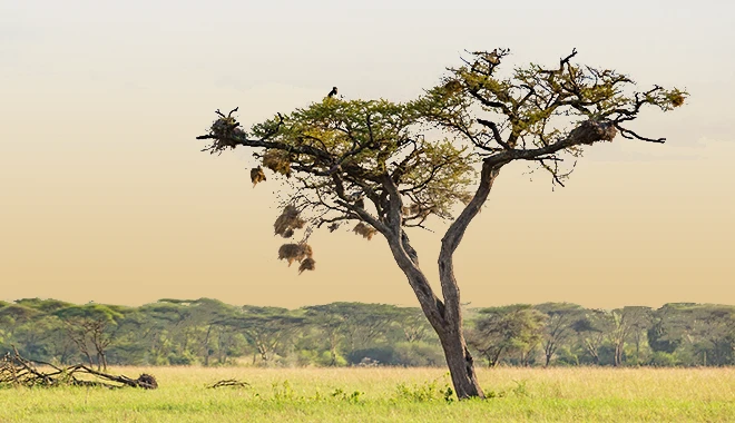 Best time to visit Kilimanjaro