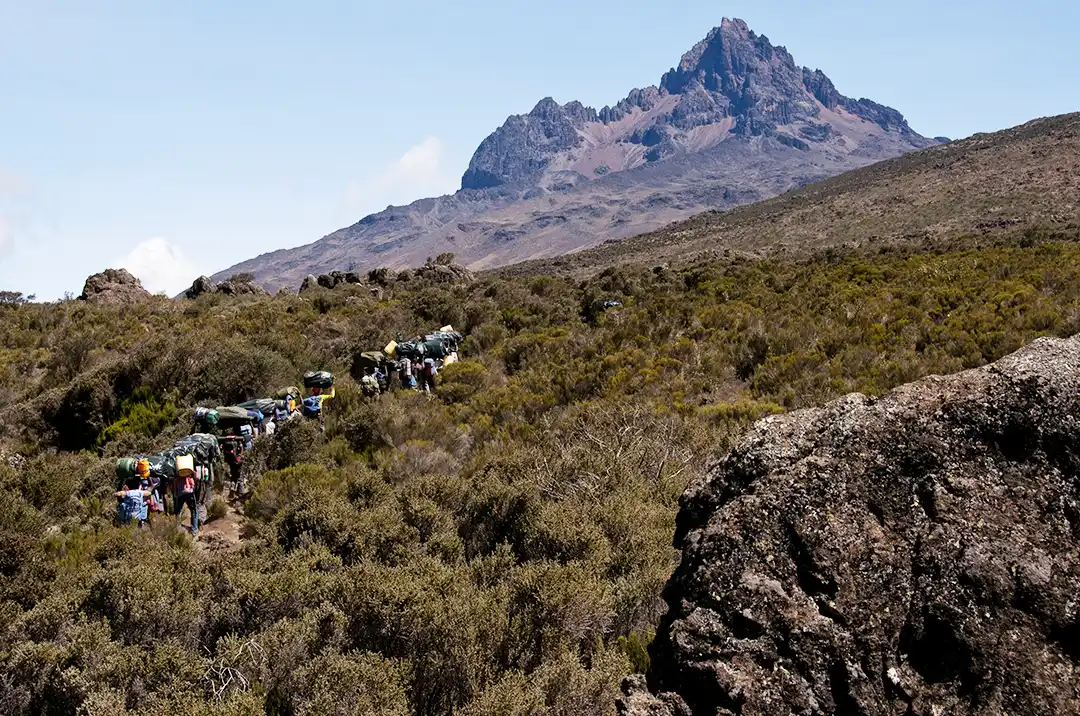 Kilimanjaro Climb