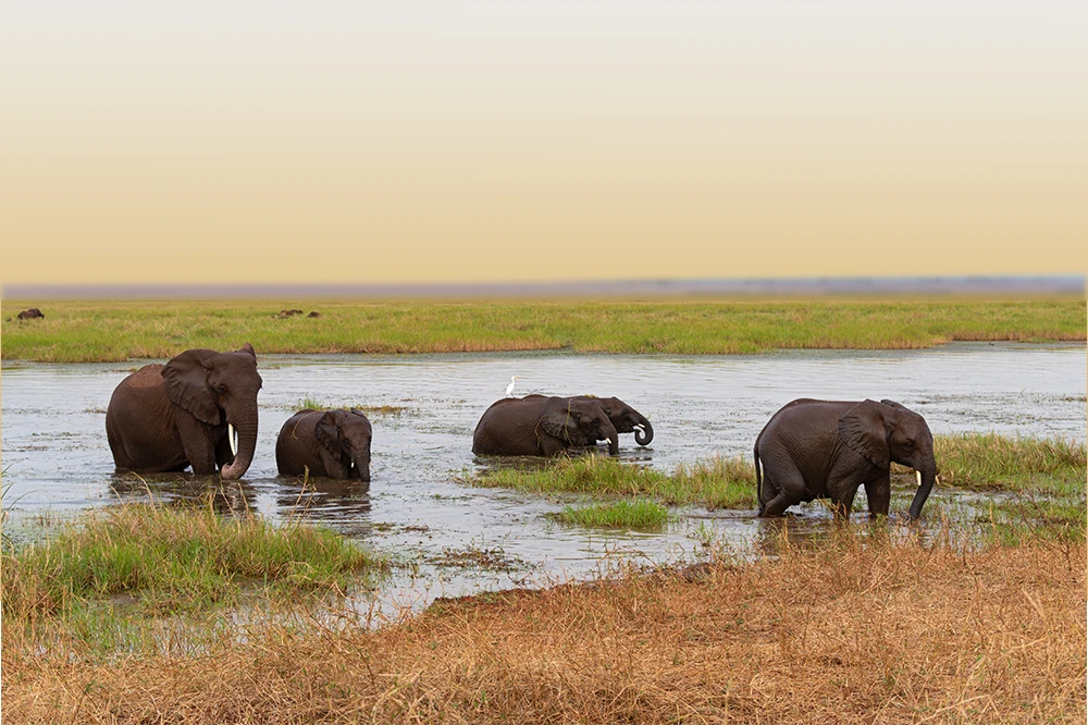 Tarangire National Park