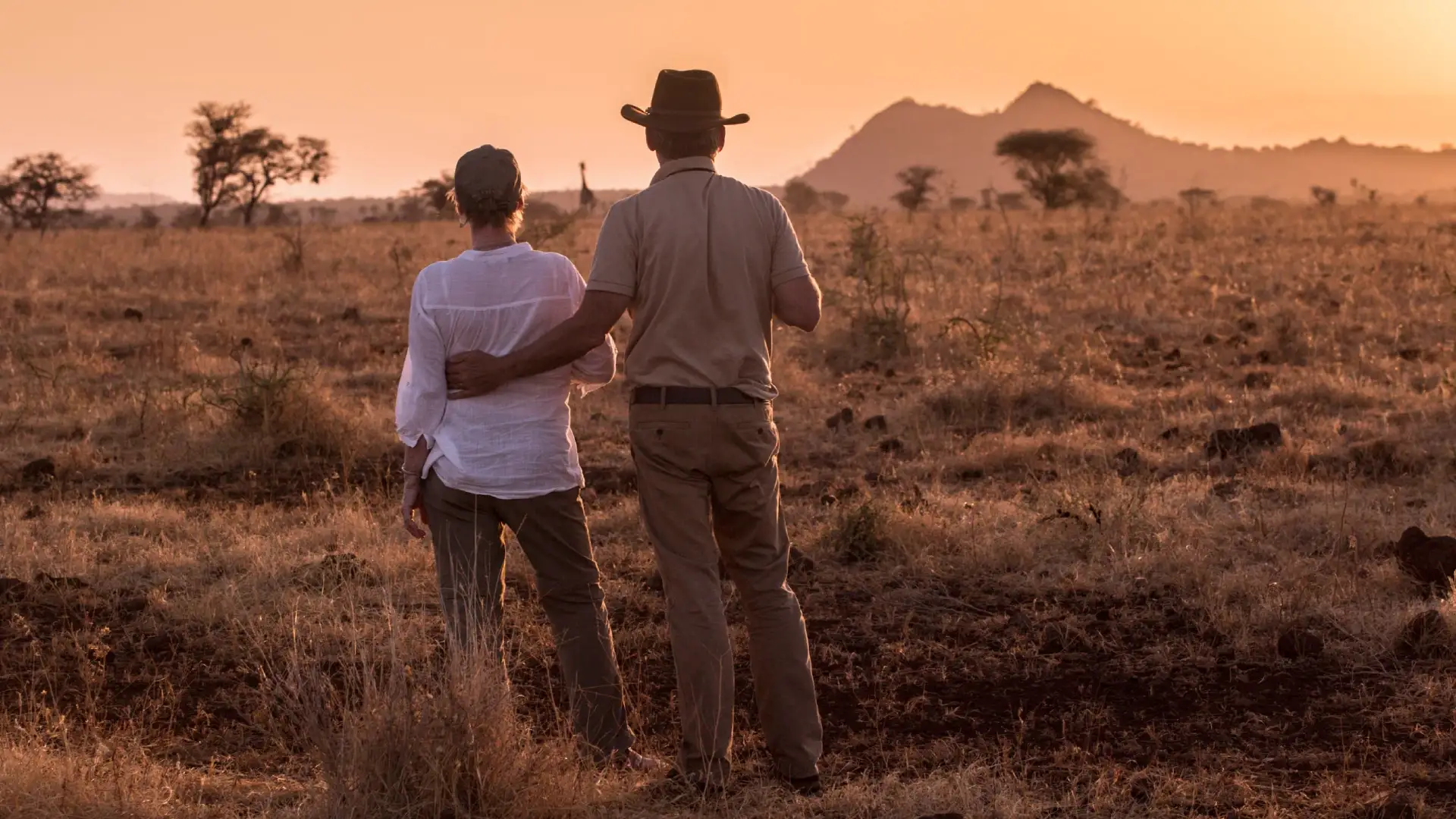 Bestday Safaris