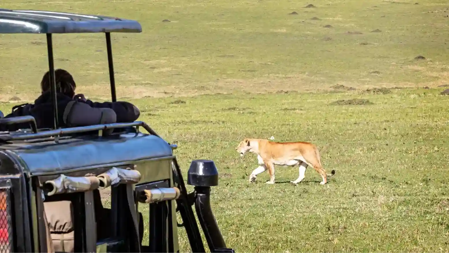 Tanzania Private Safari
