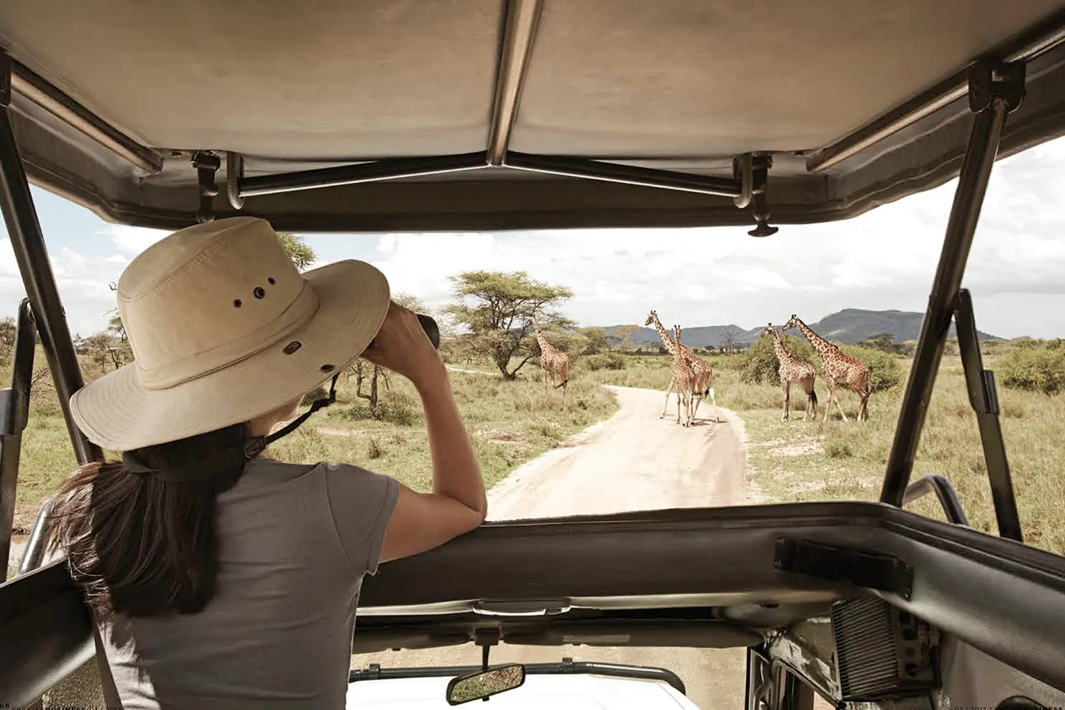 Best Private Safari In Tanzania