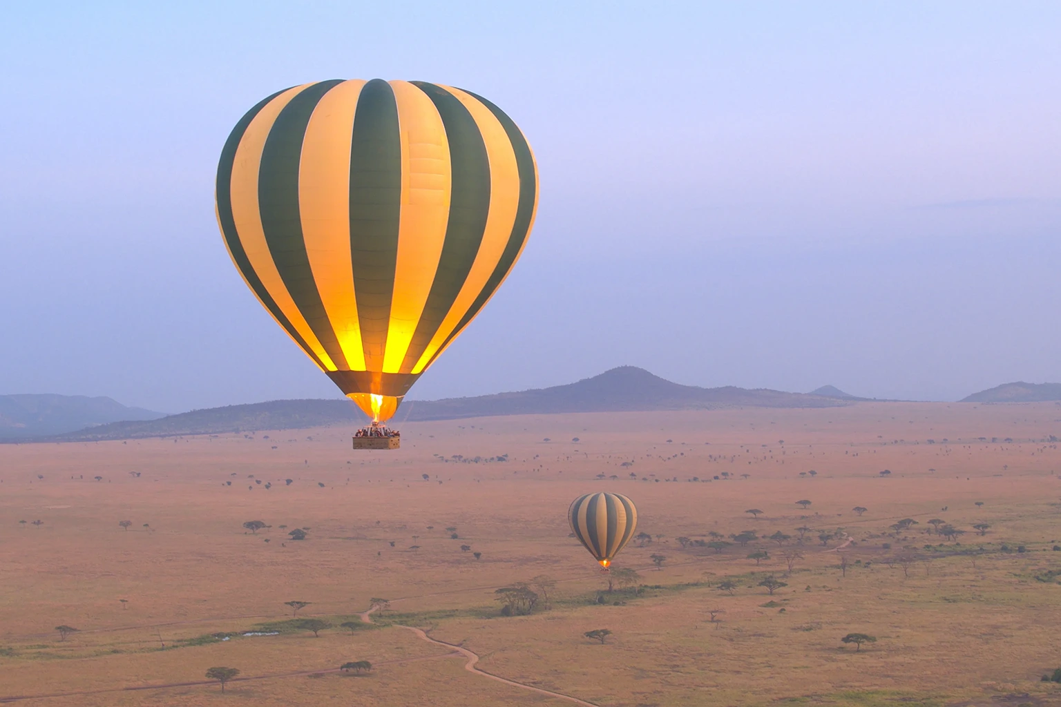 Average Safari Cost in Tanzania