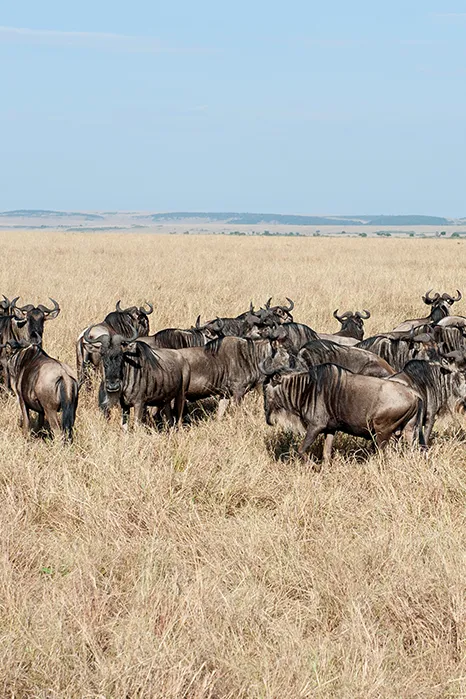 Seasonal Cost in Tanzania