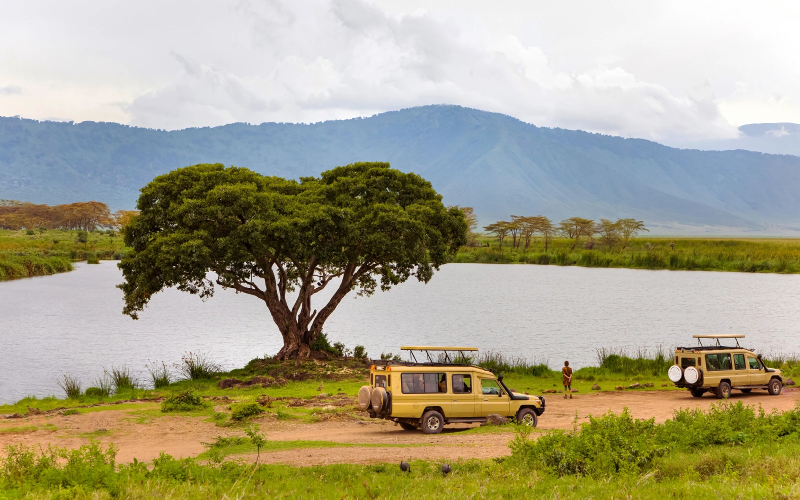 Game Drives