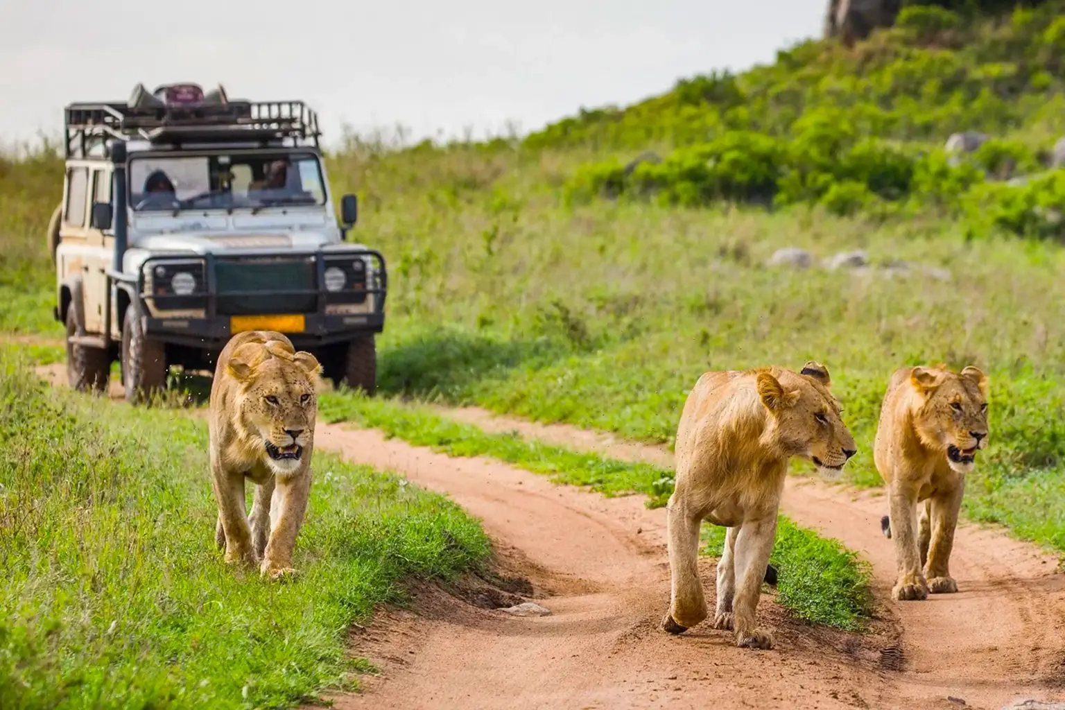 Why You Need Tanzania Travel Safety?
