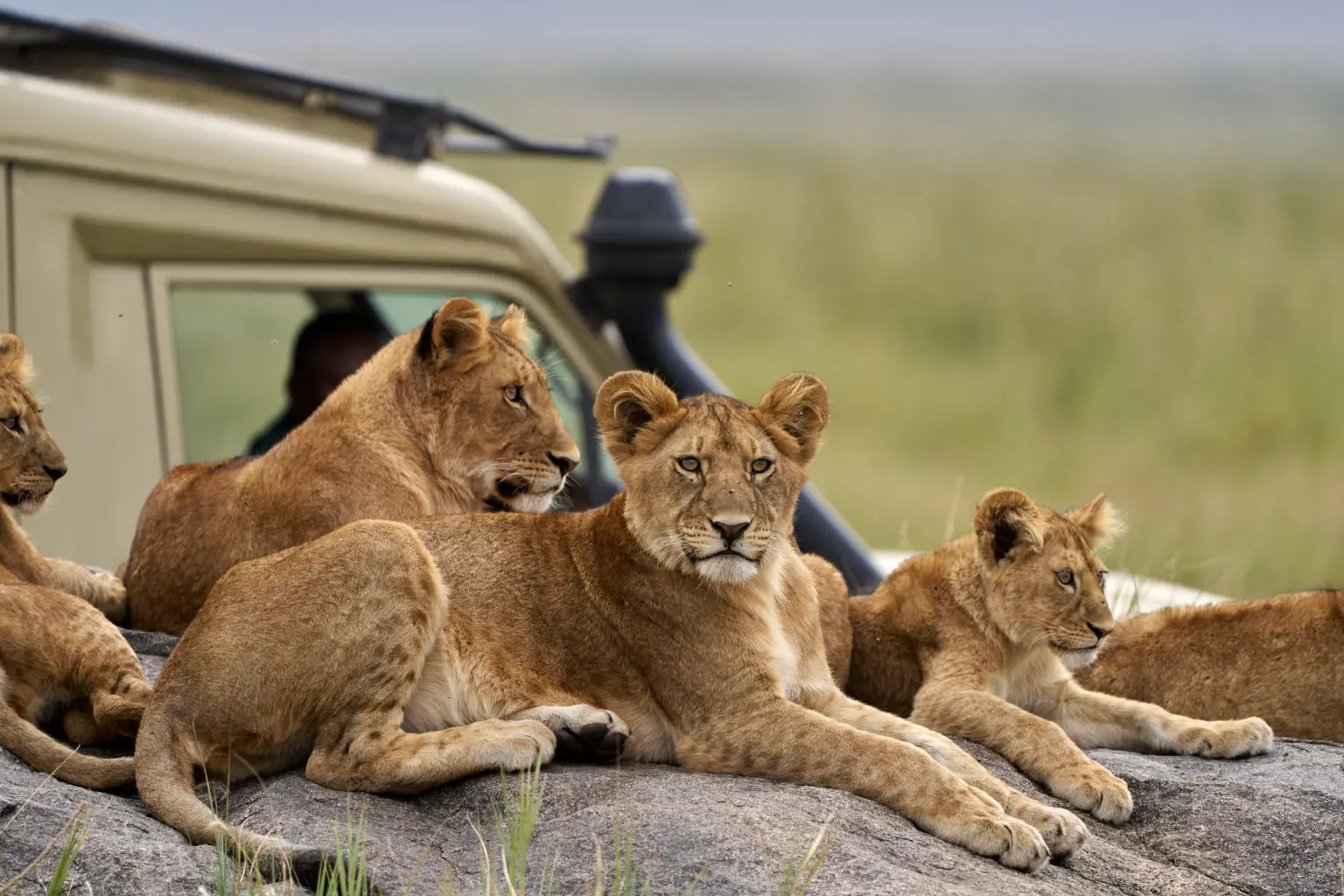Why You Need Tanzania Travel Safety?