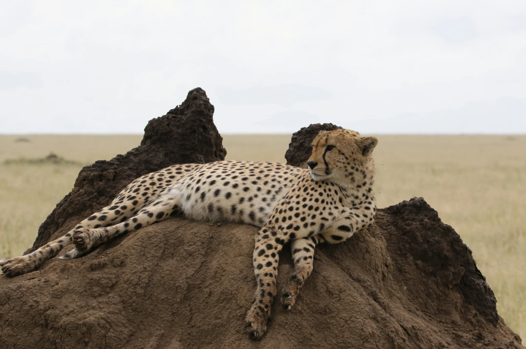 Tanzania Travel Safety