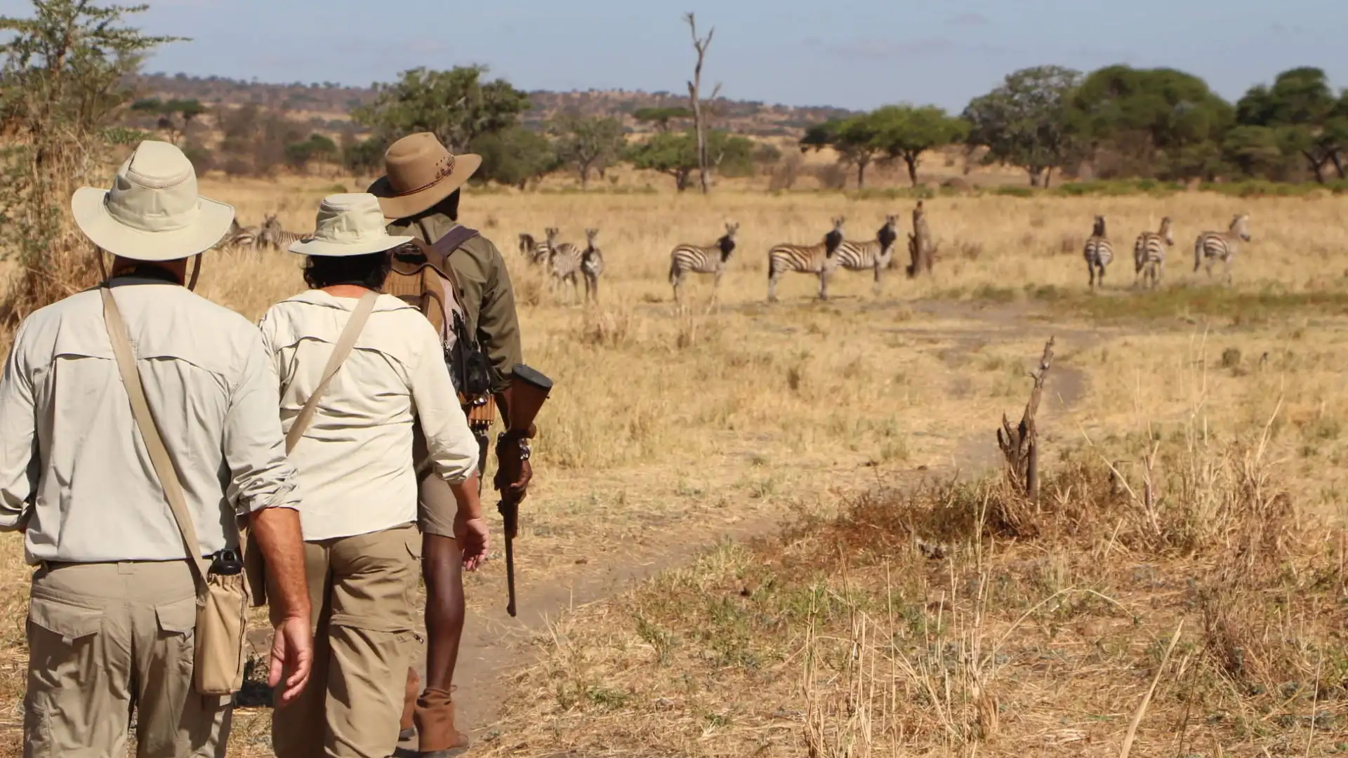 Bestday Safaris