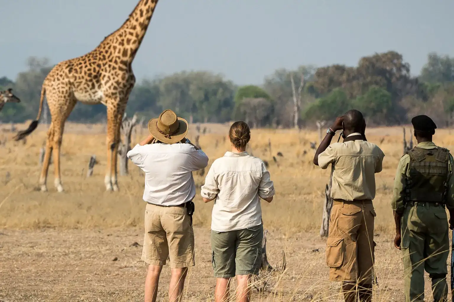 Walking Safari Wildlife View