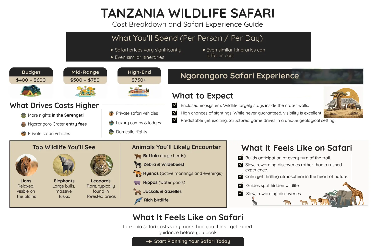 Tanzania Wildlife Safari