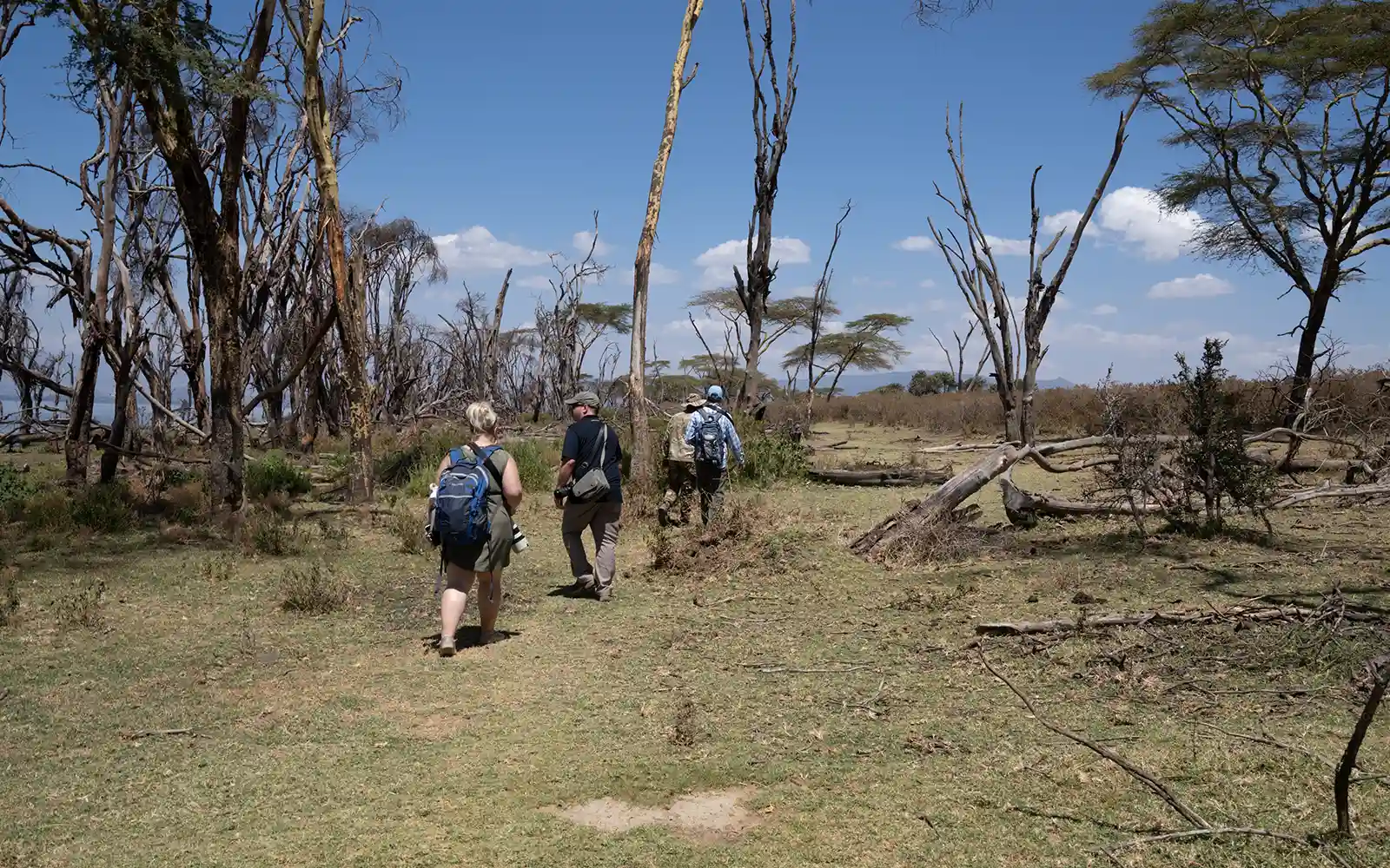 Walking Safaris