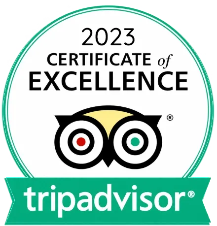 Tripadvisor 2023