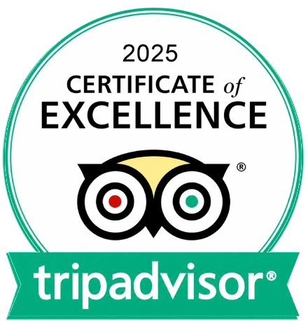 Tripadvisor 2025
