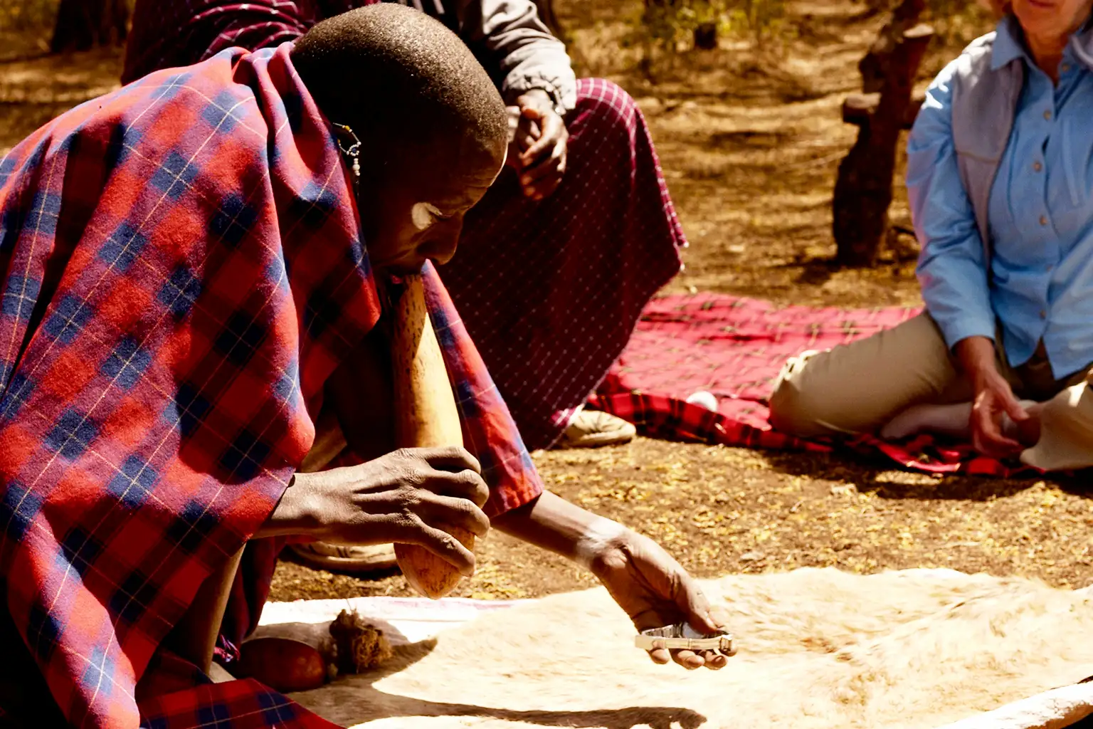 Kilimanjaro’s Climate
