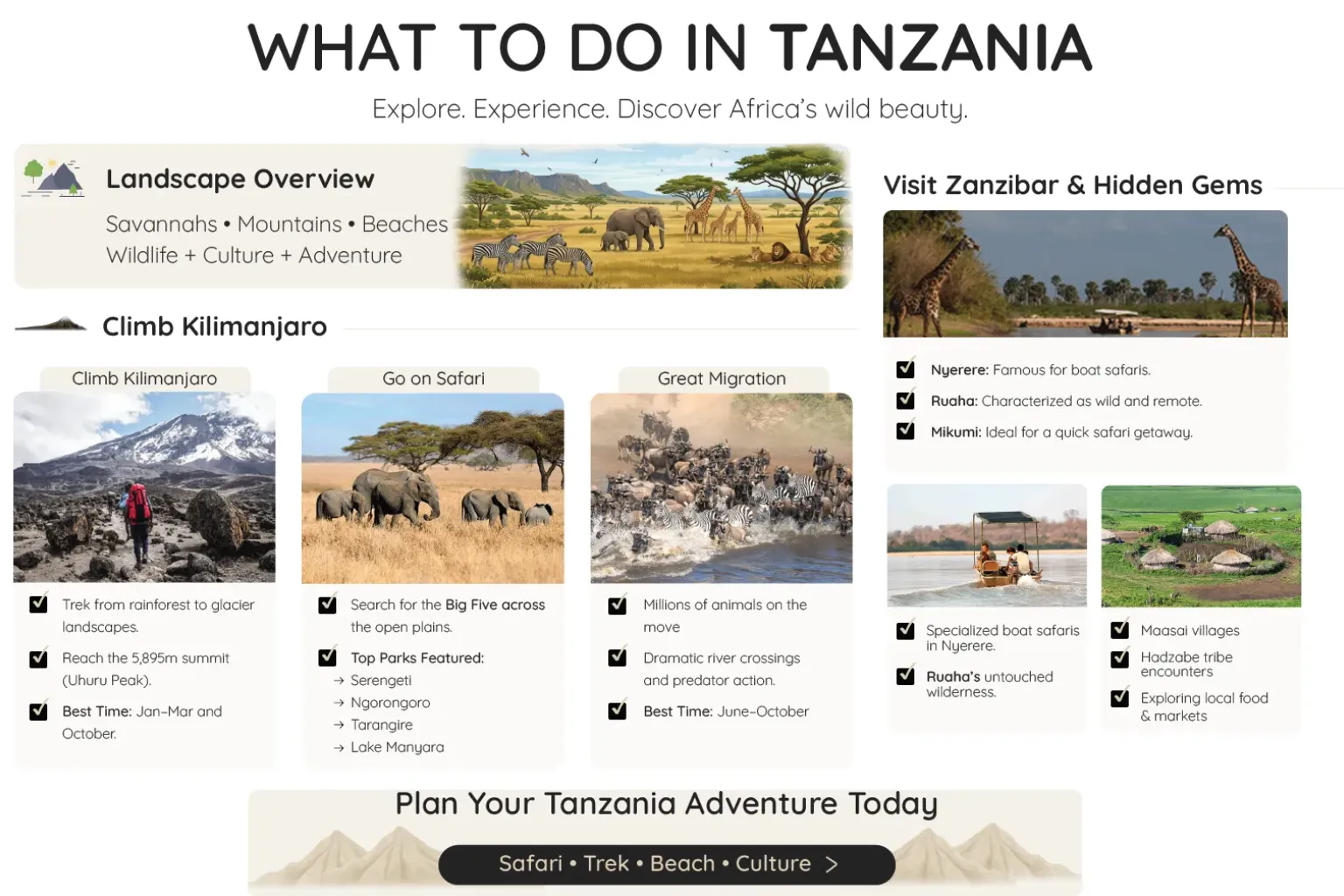 Start with a Classic Tanzania Safari