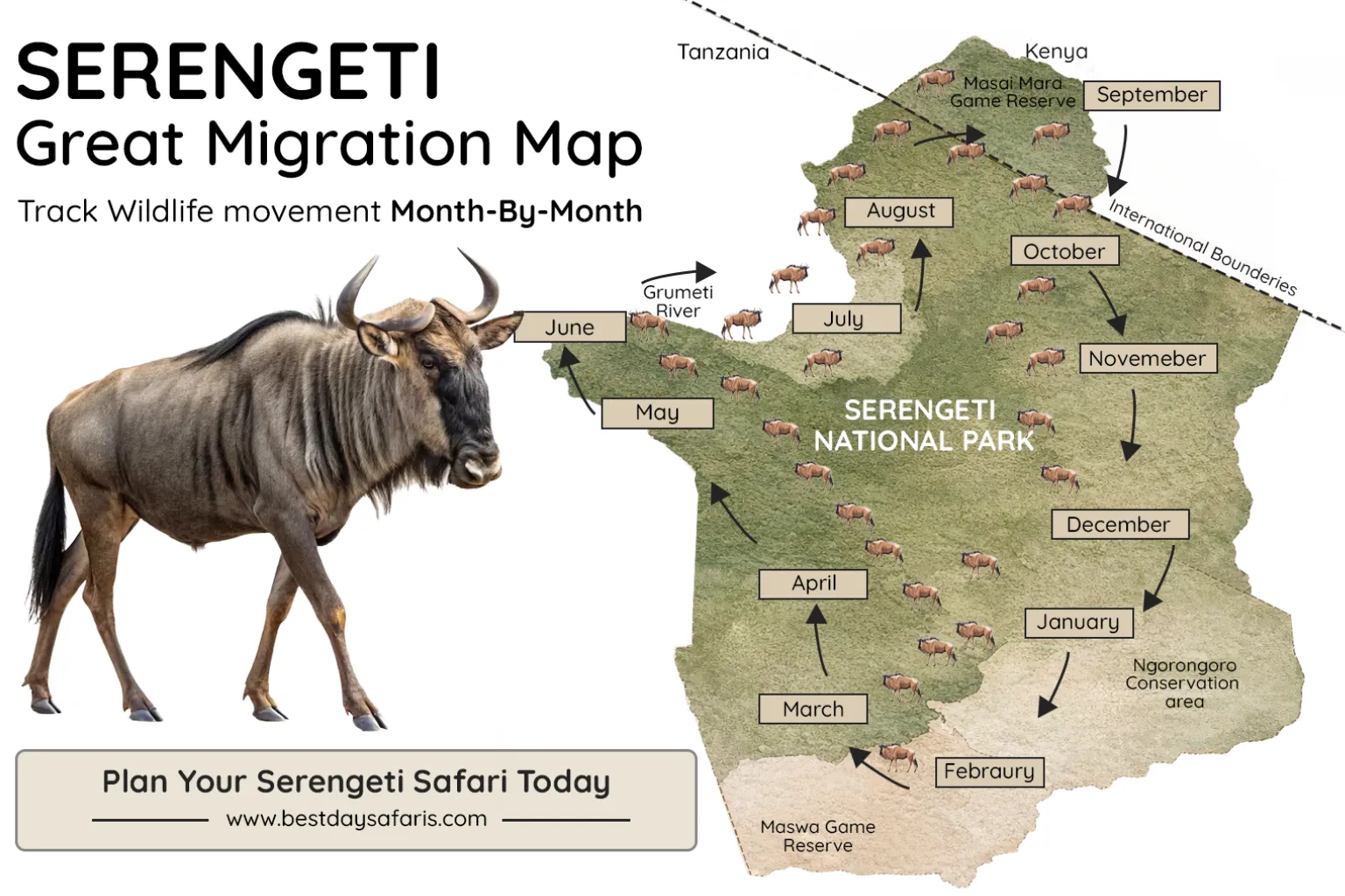 Start with a Classic Tanzania Safari