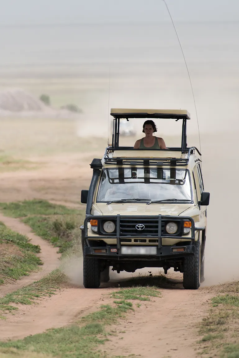 Bestday Safaris
