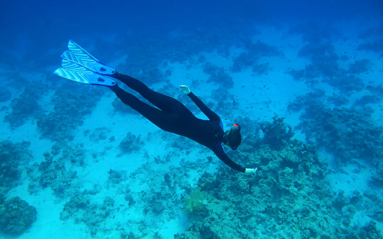 Snorkeling Trip