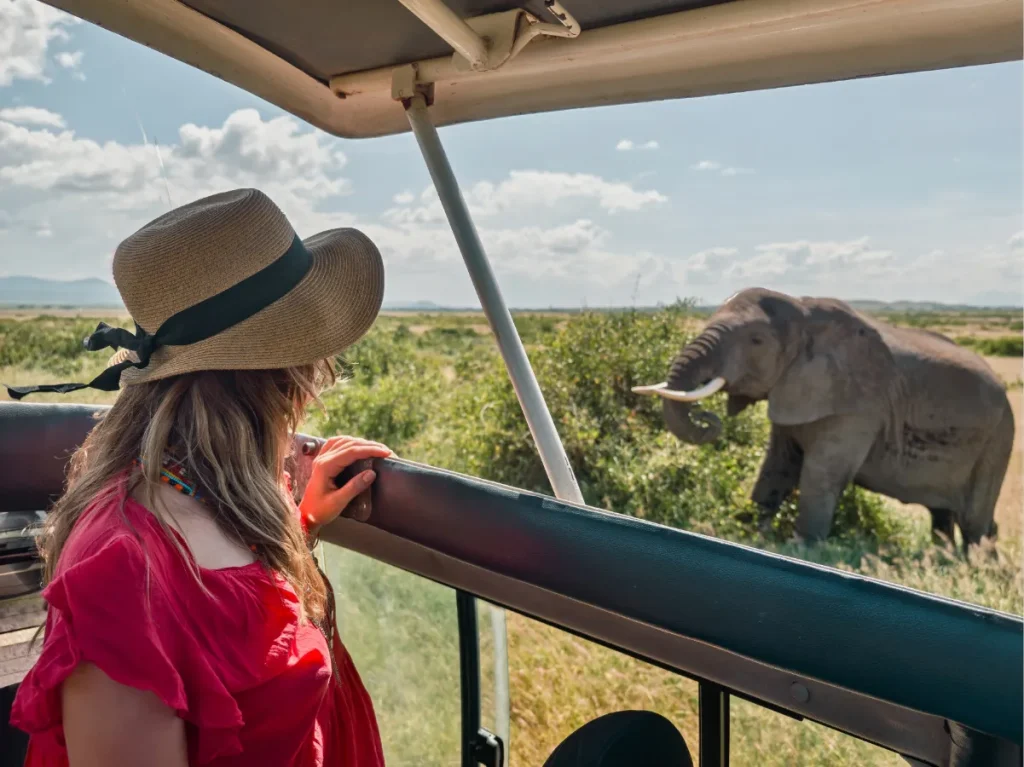 Tanzania Safari Price