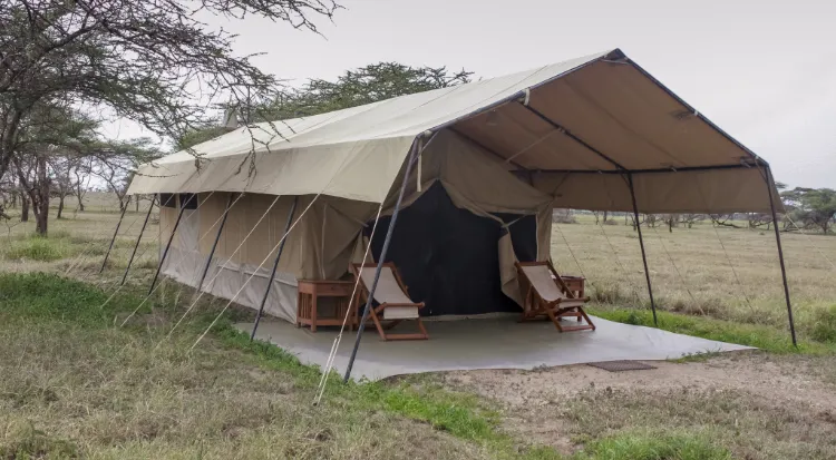 Serengeti Accommodations