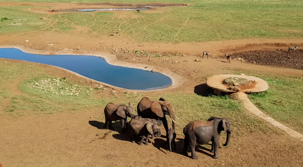 Tanzania Safari Cost