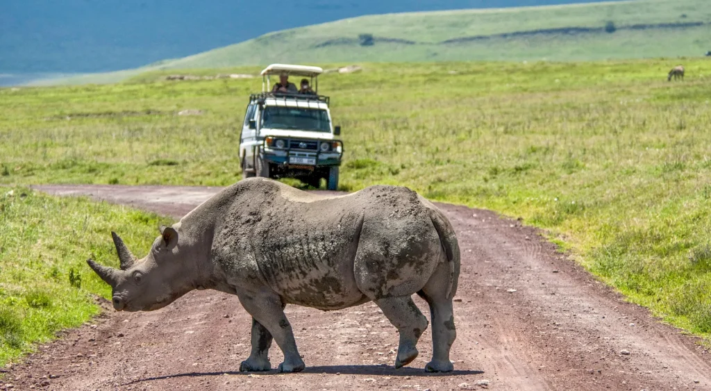 The Budget Safari Packages