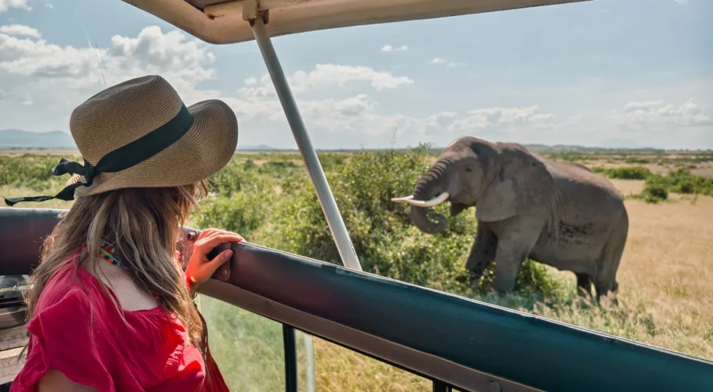 Tanzania Safari Wildlife