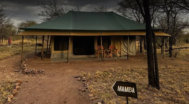 Serengeti Accommodations