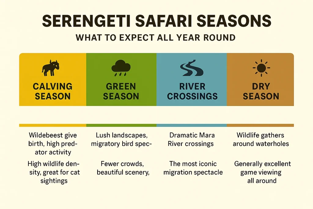 Best Time To Visit Tanzania