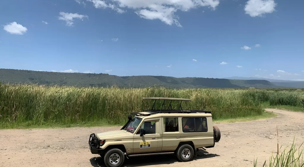 Tanzania Private Safari Experience